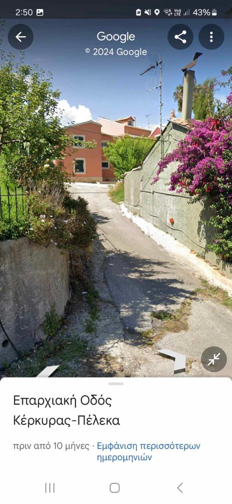 Spitaki Villa Alepou Exterior photo